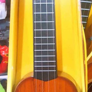 Classical Guitar For Kids