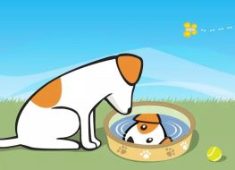The Dog At The Well